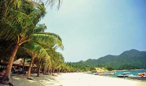 cu-lao-cham-diem-den-ly-tuong-6