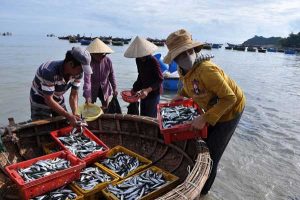 lac troi giua thien duong mam hue f