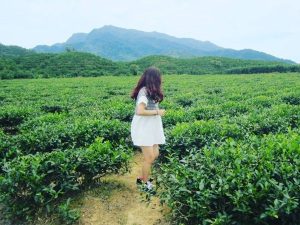 kham-pha-18-thien-duong-song-ao-o-quang-nam-phan-1-5