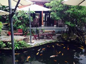 nhung quan cafe cho ban thoa thich ngam ca koi tai da nang n