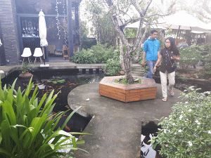 cloud-garden-cafe-da-nang-dep-nhu-mot-buc-tranh-1