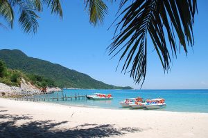 san-lung-nha-nghi-gia-re-o-cu-lao-cham-2